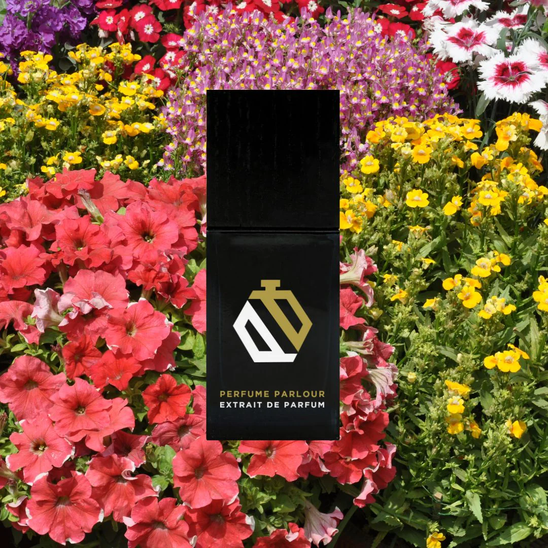 Luxury Scents Without the Price